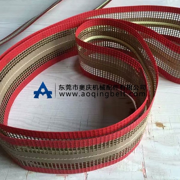 铁氟龙网带加防跑偏导条